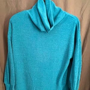 Turquoise turtleneck sweater